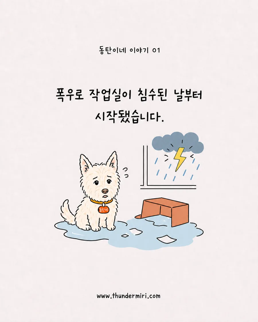 폭우로 작업실이 침수된 날부터 시작된 동탄이네 이야기