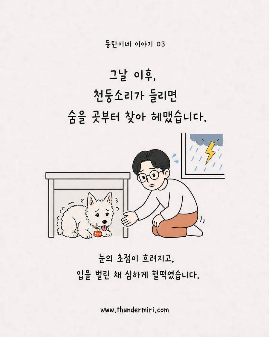 천둥소리에 심한 패닉 반응을 보이는 동탄이