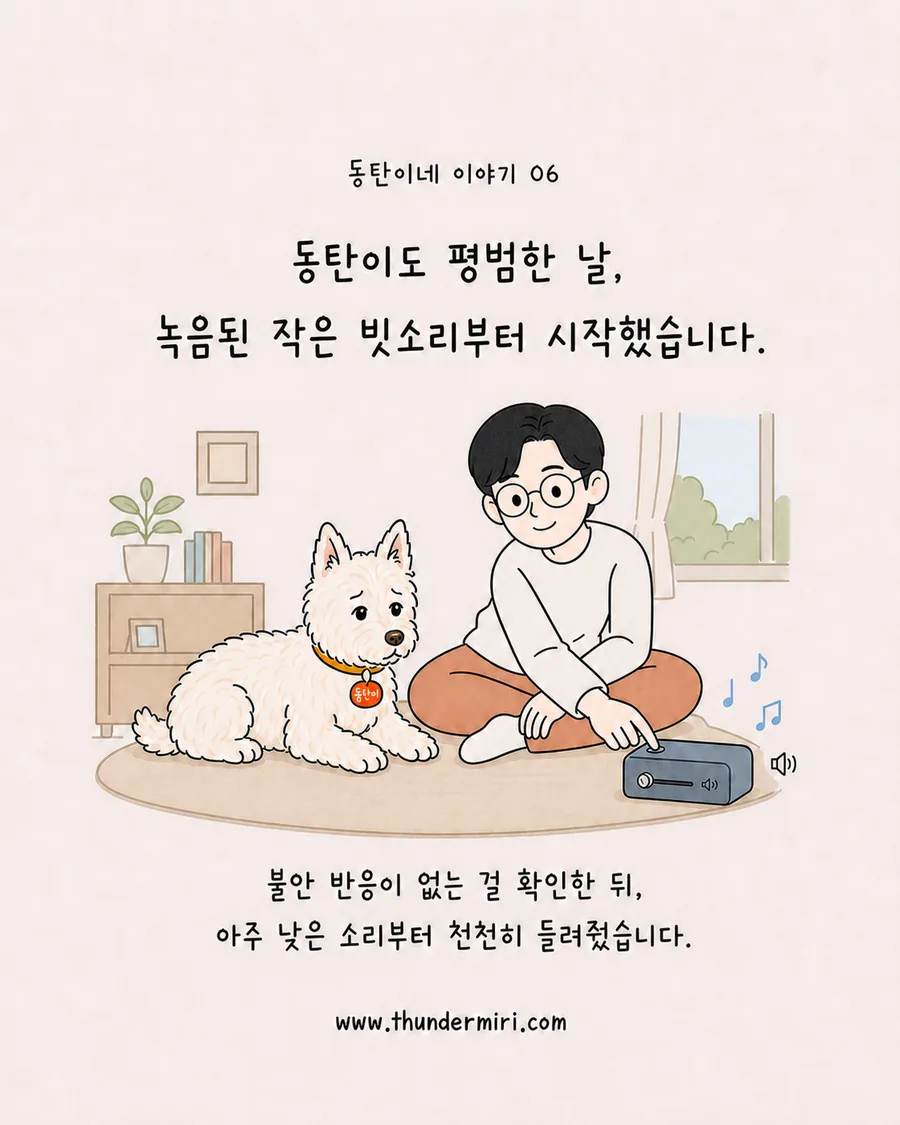 평범한 날 작은 빗소리부터 적응을 시도하는 동탄이