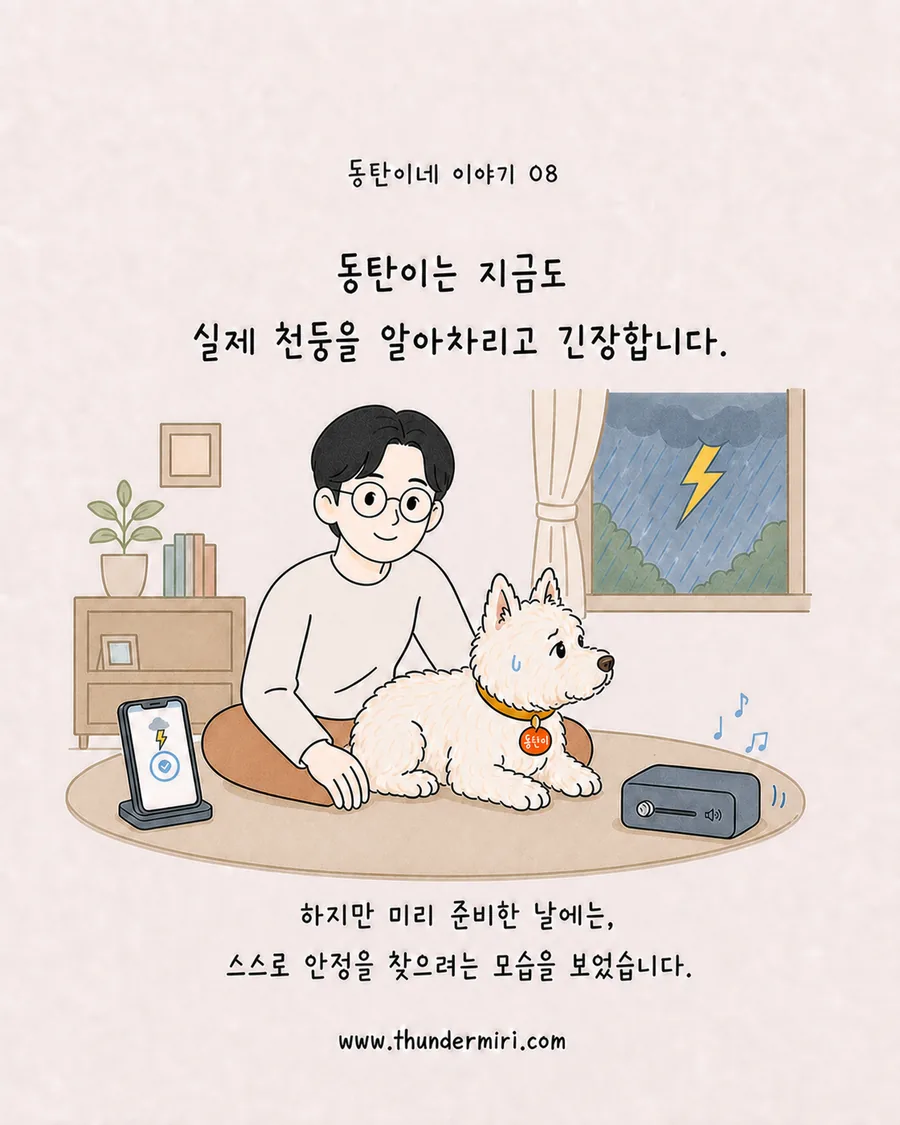 미리 준비한 날 실제 천둥에도 안정을 찾으려는 동탄이
