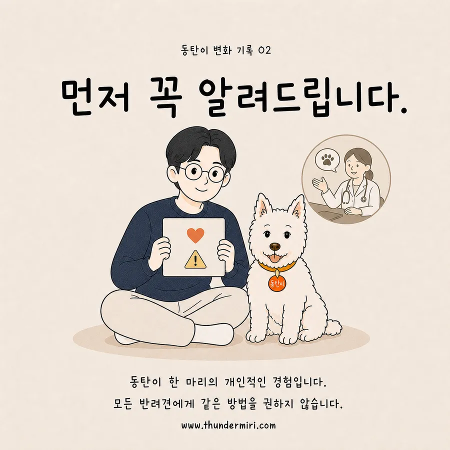 개인 경험이라는 안내와 전문가 상담 권유