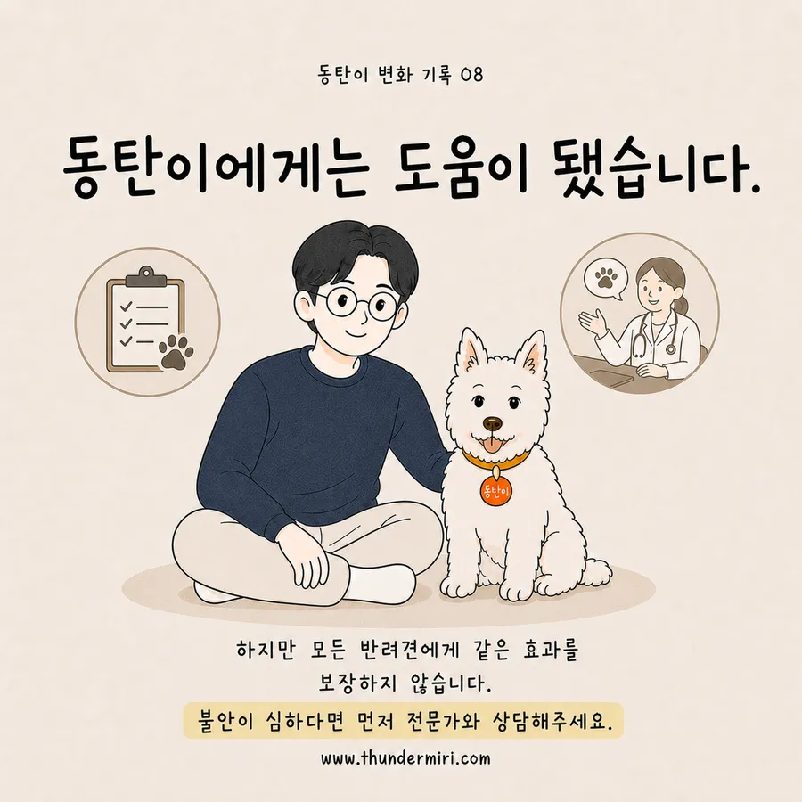 효과를 보장하지 않는다는 안내와 전문가 상담 권유